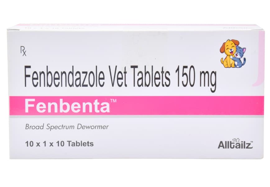 Fenbenta thumbnail 7