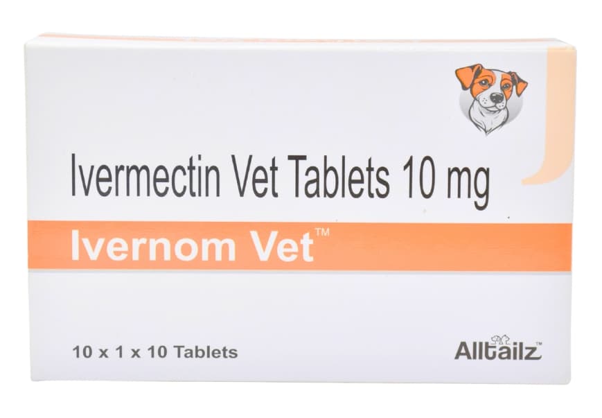 Ivernom Vet thumbnail 7